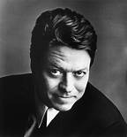 Artist Robert Palmer